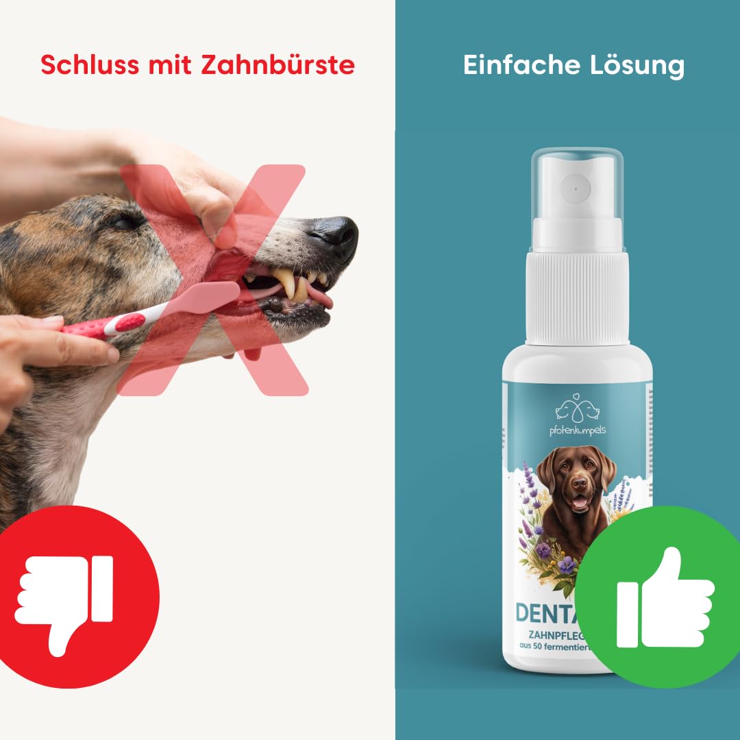 Dentalfee - Dentalspray/Zahnpflege Spray für Hunde & Katzen - Entfernt Zahnstein & Zahnbelag - 100% natürlich - 50 fermentierte Kräuter - frischer Atem - 100ml - Reicht bis 9 Monate…