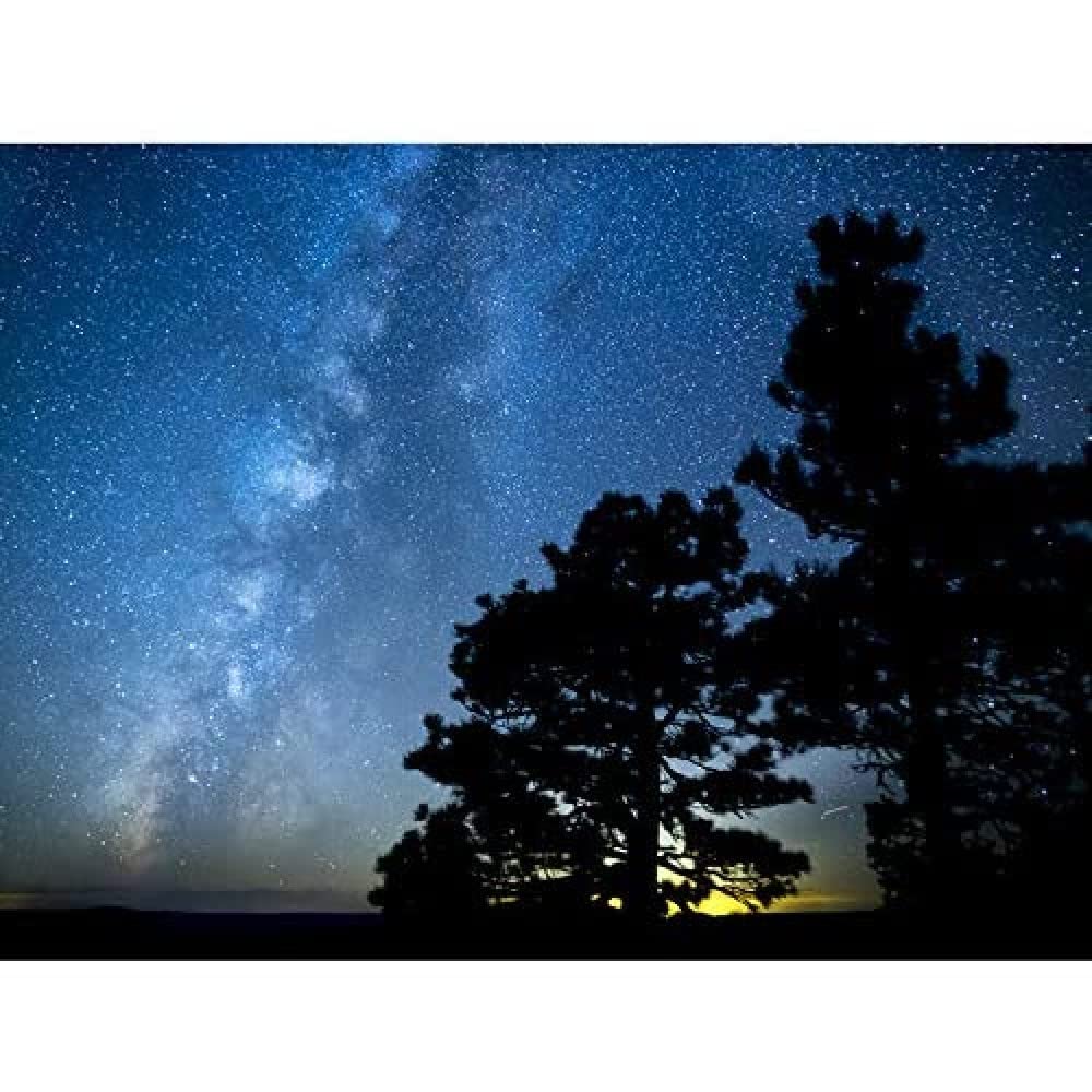 Artery8 BLM Wick Grand Canyon-Parashant Monument Stars Milky Way Art Print Canvas Premium Wall Decor Poster Mural