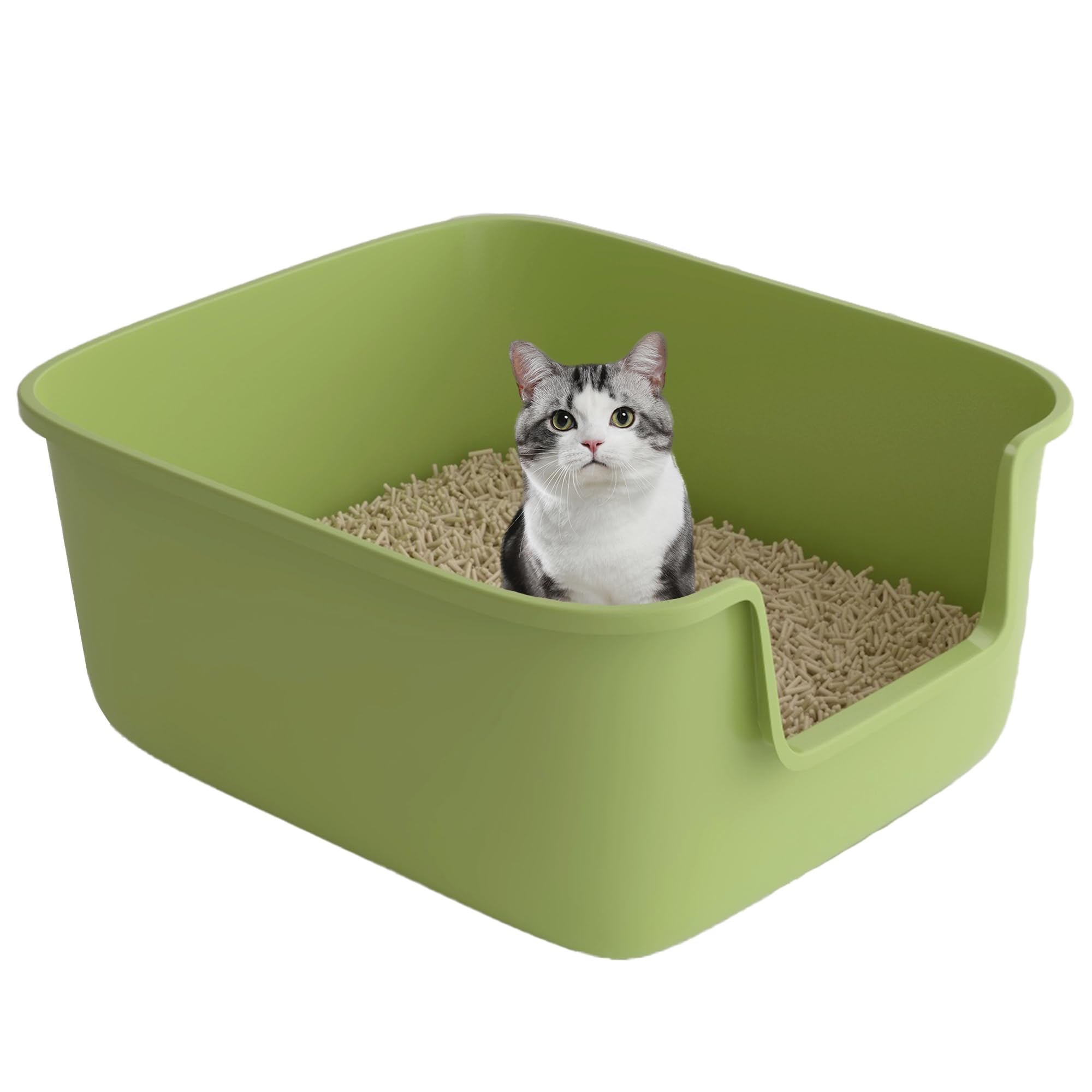 Suhaco Katzenklo Mit Hohem Rand Anti-Spritz Oben Einstieg 49 x 42 x 22 cm Leicht Zu Reinigen Katzentoilette Mit Niedrigem Einstieg Für Kleine Und Mittelgroße Katzen Toilette, Grün M