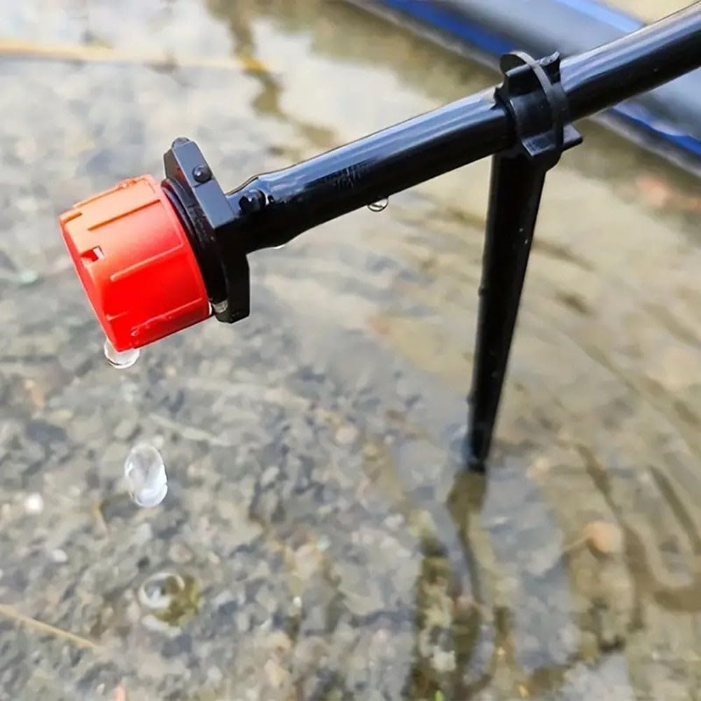 View 3