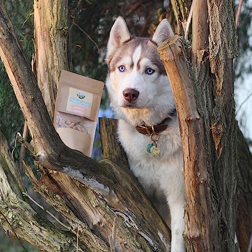 Bellfor Gefriergetrocknete Freeze-Snacks für Hunde 250 g gut bekömmlich kohlenhydratarm und Ohne künstliche Zusatzstoffe