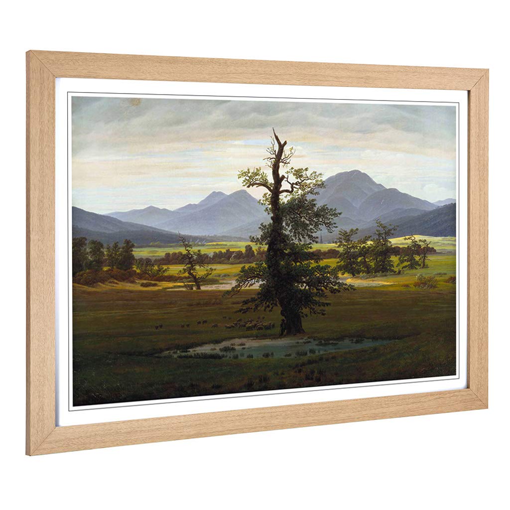 Big Box Art Framed Print of Friedrich Caspar David The Lonely Tree Design | Wall Art Picture | Home Decor for Kitchen, Living Room, Bedroom, Hallway, Oak, A2 / 24.5x18 Inch / 62x45cm