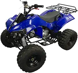 Quadriciclo Atv 125cc Gasolina P Elétrica com Ré 0 km Freio a Disco 4t - Tatv125 - Azul