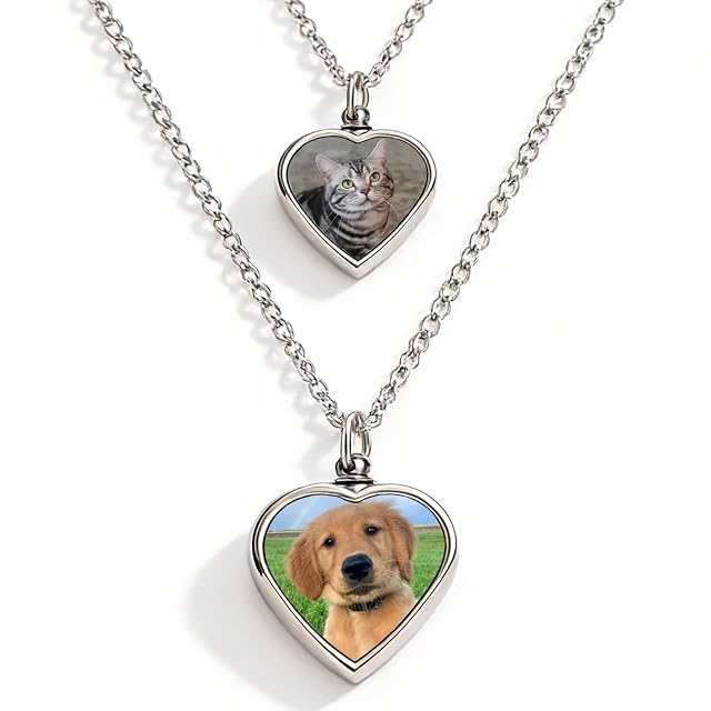 WBW Collar urna de cenizas para mascotas en forma de corazón personalizado