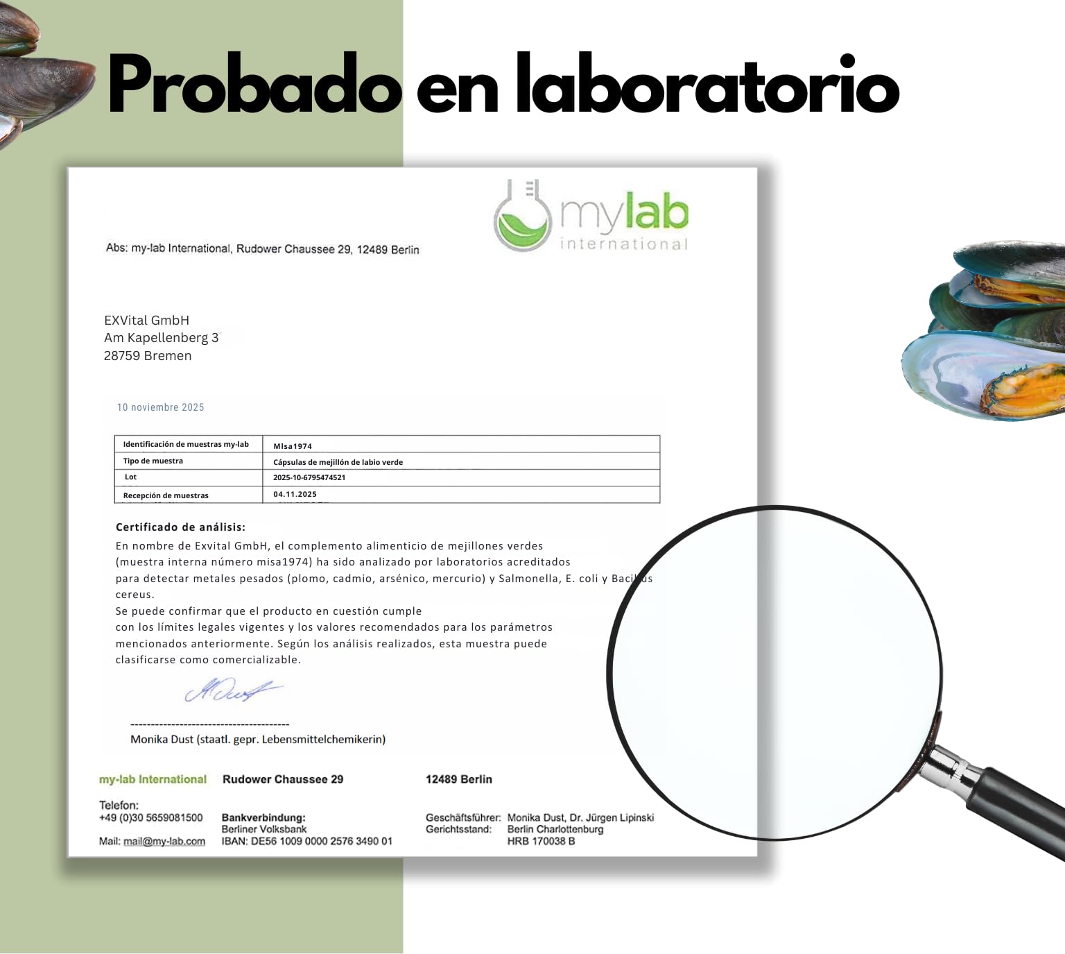 Cápsulas de mejillón de Labio Verde neozelandés con Zinc: Alta dosis de 1500 MG, sin magnesio ni aditivos, 100% Naturales, Calidad Alemana, 300 cápsulas