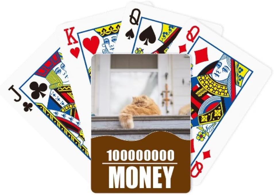 Animal Fat Garfield Cat Photograph Poker Playing Card Funny Hand Game