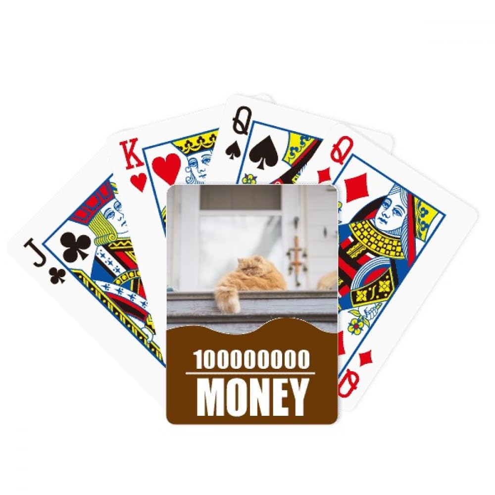 Animal Fat Garfield Cat Photograph Poker Playing Card Funny Hand Game