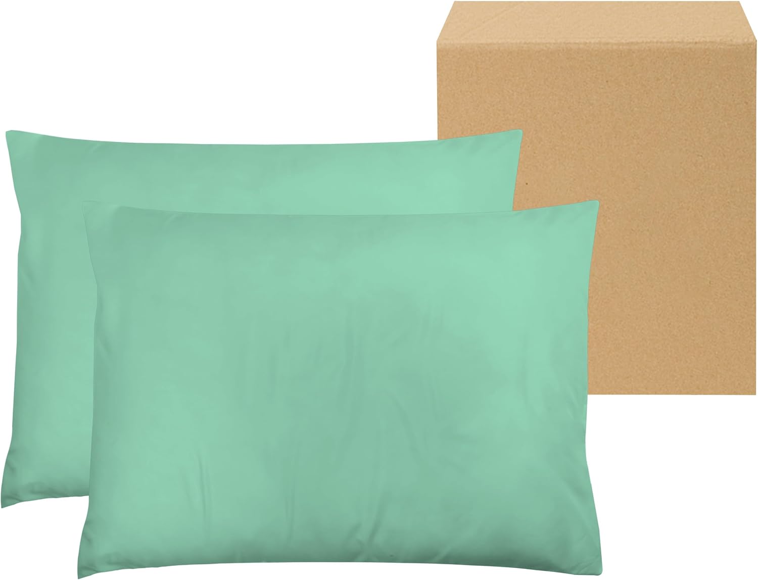 Light Teal