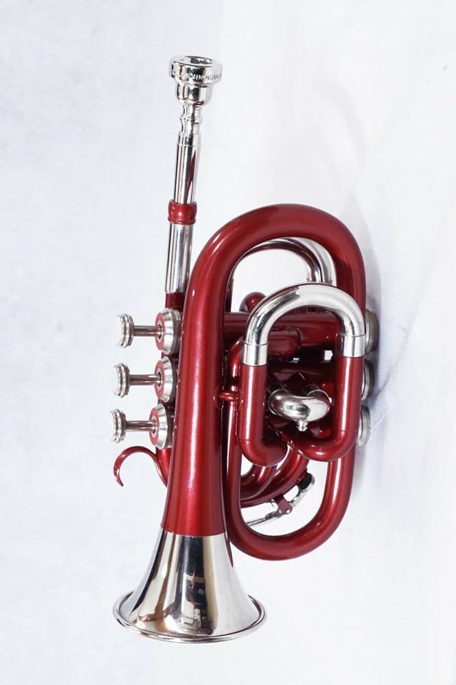 ポケットトランペット(デカベル) 赤 ケース付き ポケットトランペット