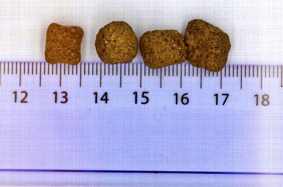 My Pet Club Insekten (1 x 8 kg) getreidefreies Hundefutter sensitiv I 33% Insekten Anteil I hypoallergenes Hundefutter mit Süßkartoffel