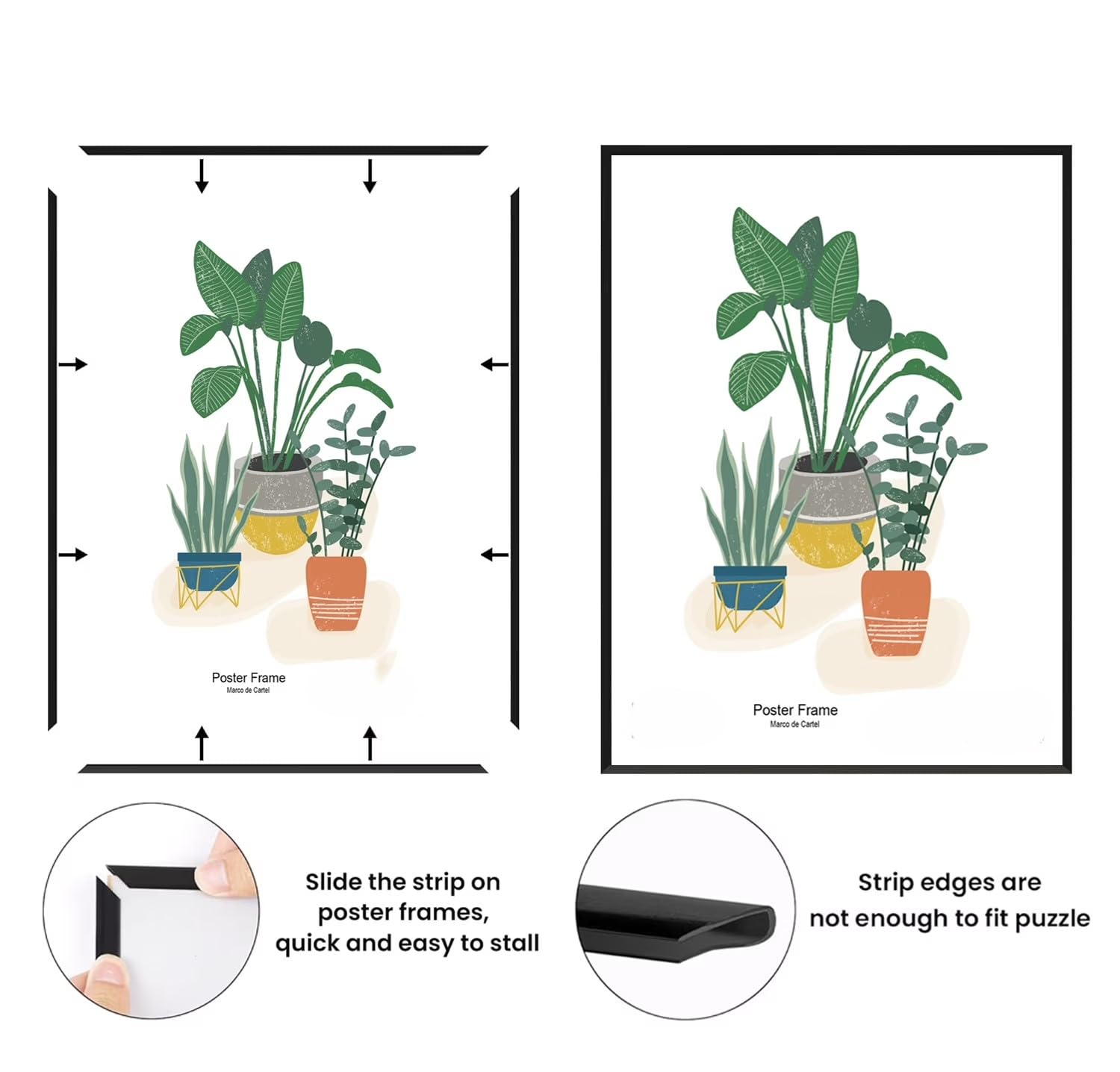 https://m.media-amazon.com/images/I/61RsGvunaFL.jpg