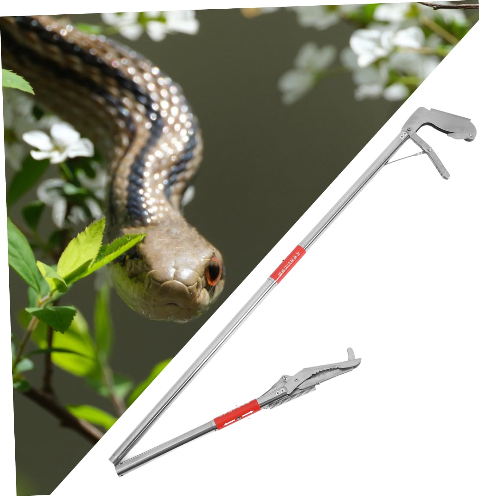 Toyvian Pince à Serpent Longueur Réglable en Acier Inoxydable Pliable Prise Sécurisée et Structure en 3 Sections Manipulation de Serpents et Anguilles