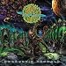 Embryonic Anomaly