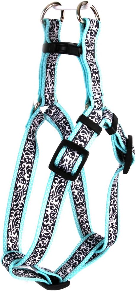 Yellow Dog Design Chantilly Teal Step-in Dog Harness 1" Wide and Fits Chest Circumference of 25 to 40", Large
