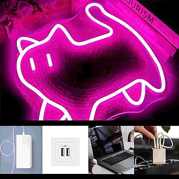 【サイン入り】YUKIKA 寺本來可 NEON カセット型USB Amazon.co.jp : かわいいネオンライト ledピンクネオン管 英語