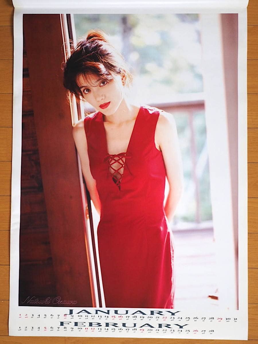 Amazon.co.jp: 1995年 小沢なつき カレンダー : おもちゃ