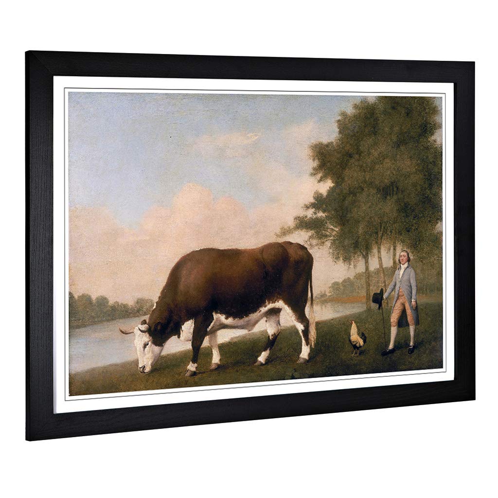 Big Box Art Framed Print of George Stubbs The Lincolnshire Ox Design | Wall Art Picture | Home Decor for Kitchen, Living Room, Bedroom, Hallway, Black, A2 / 24.5x18 Inch / 62x45cm