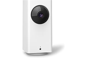 Roku Indoor Camera 360° with 90-Day Subscription