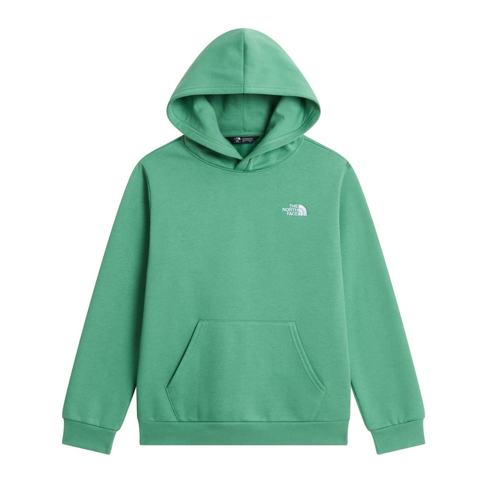 THE North Face Evolution Simple Dome Hoodie pour Enfant Dimmed Algae 14/16 Ans