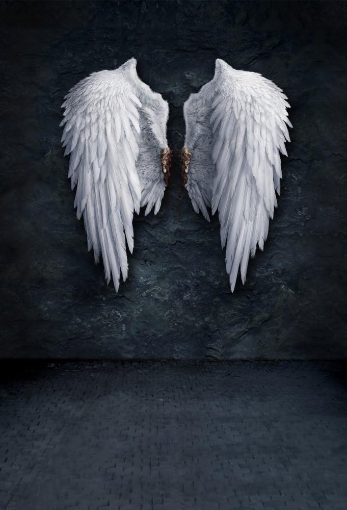 AOFOTO 3x5ft Angel Wings Backdrop Grunge Wall Photography Background Fashion Youngster Kid Girl Boy Adult Artistic Portrait Photo Shoot Studio Props Video Drop Wallpaper Drape