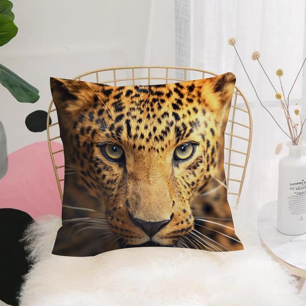 HYMSXW Cushion Cover,Throw Pillow Case Home Decorative for Living Room Bedroom Sofa Chair 20X20 Inch,Leopard, leopard close up wild gaze portrait closeup,Pillowcase 50X50cm