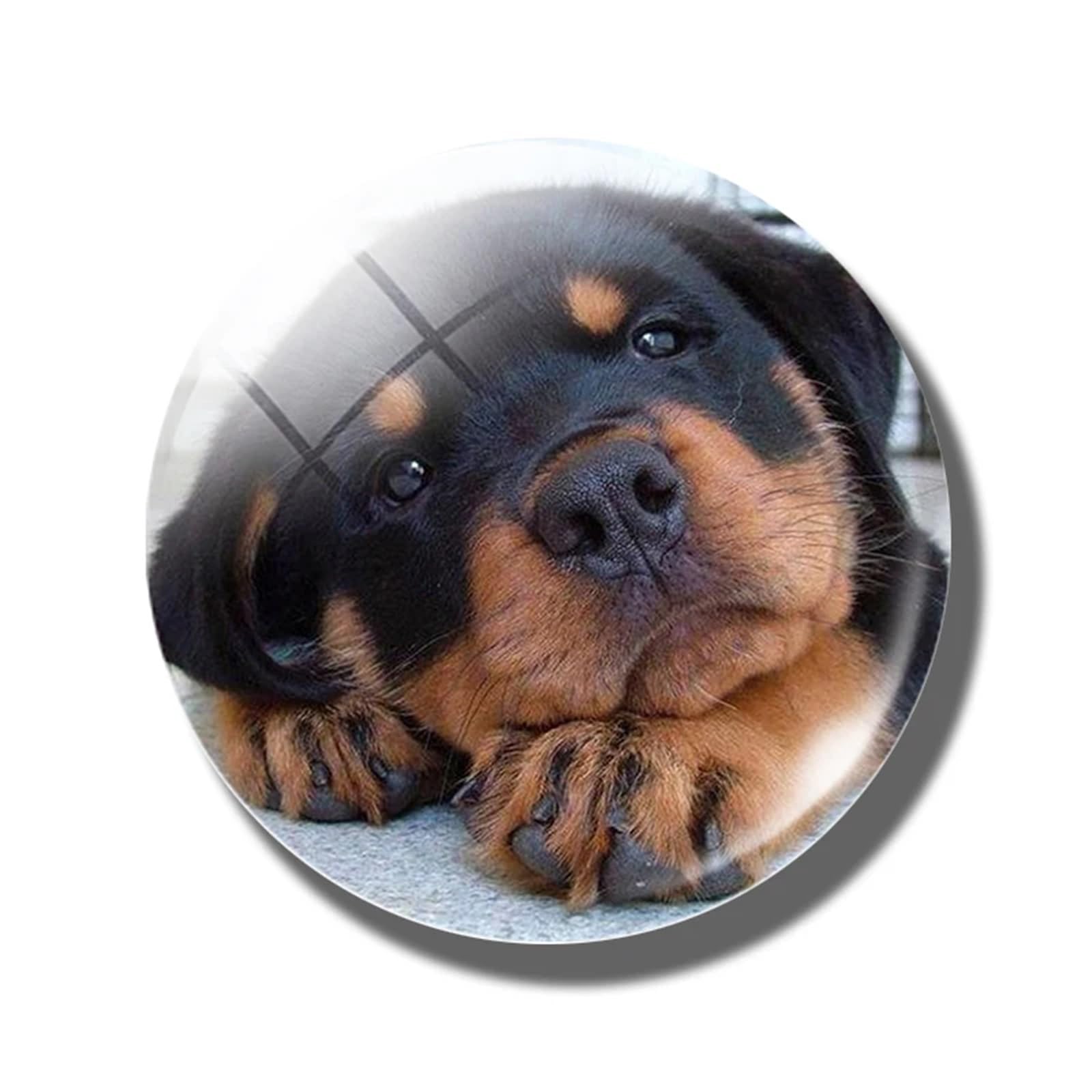 Fridge Magnets 6pcs 30 MM Fridge Magnet Lover Glass Dome Magnetic Refrigerator Stickers Note Holder Home Decoration(Color-04)