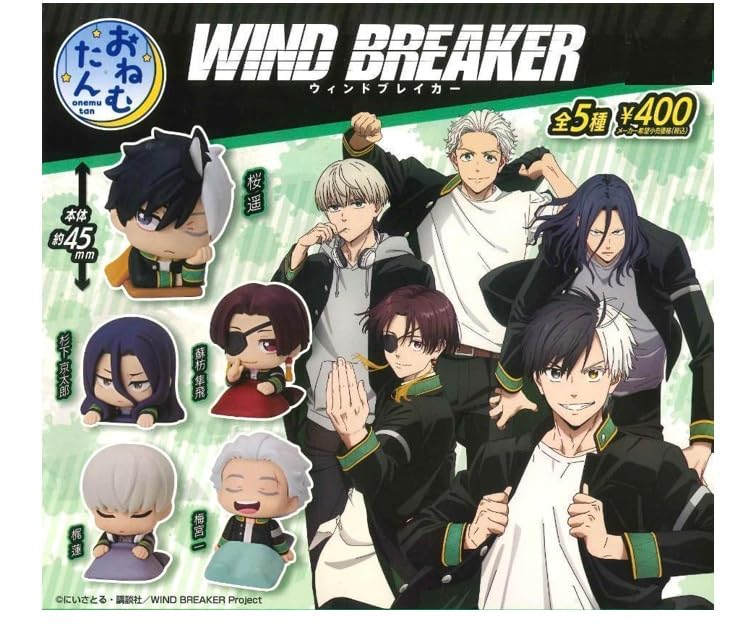 Amazon.com: Wind Breaker Stasto Stand Stone Onemutan Sleepy
