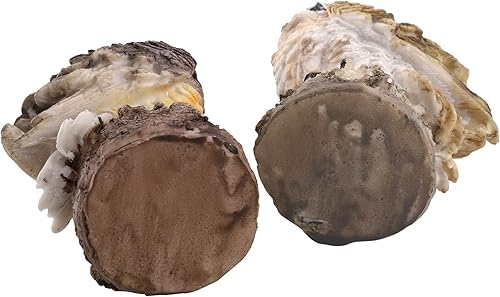 Miniatura 5 de DEAYOU Paquete de 2 estatuas de búho con cuernos falsos, escultura de búho de resina pequeña de 7 pulgadas de alto, figuras de búhos artificiales