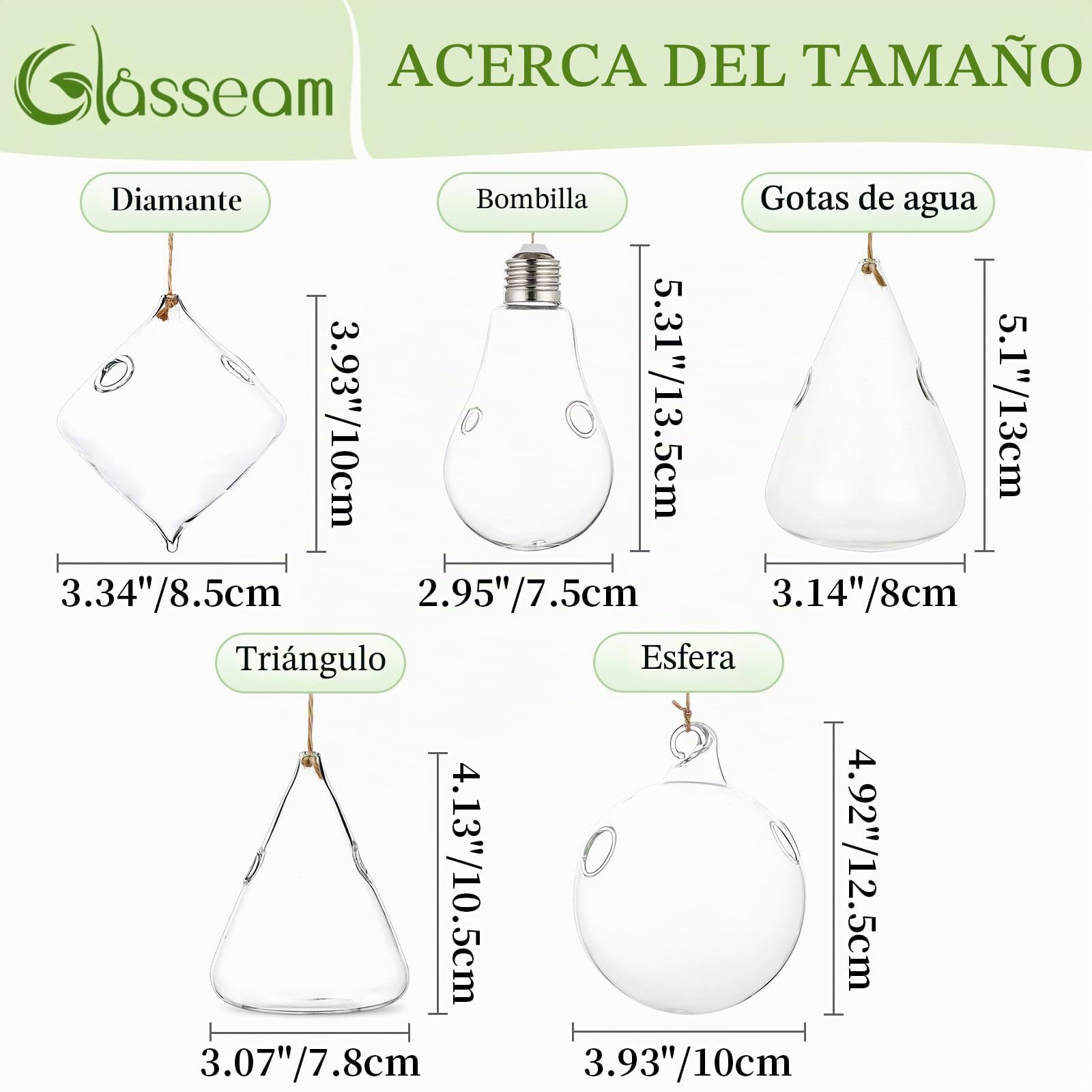 Vidrio Jardineras colgantes Agua Planta de aire suculentos Terrario 5Pcs Set con cuerdas para el jardín del hogar Balcón