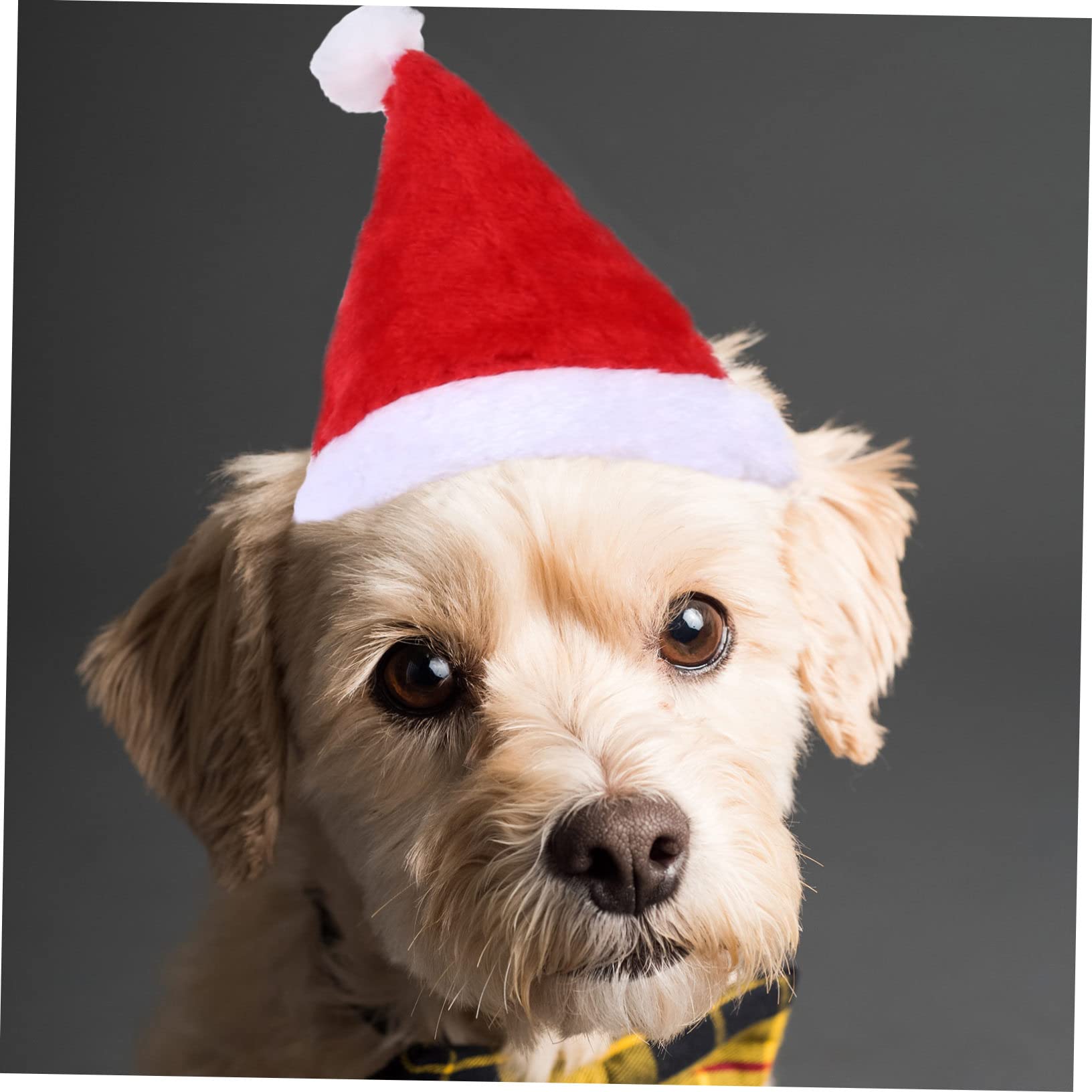 HMJGDHX 2 Pezzi Renna Vestiti per Animali Domestici Maglione di Natale Cane Vestiti Caldi Costume per Cuccioli Abbigliamento per Animali Cappello per Le Occasioni Invernali