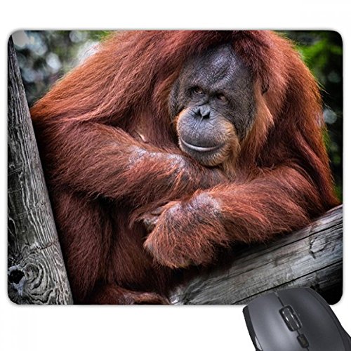 Tapis de souris de bureau Orang-outan tapis de jeu antidérapant animaux