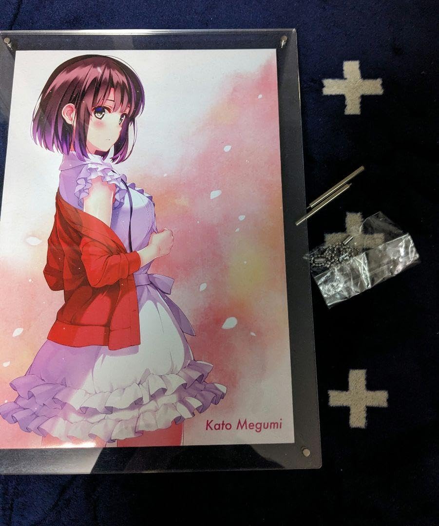 Amazon.co.jp: 冴えない彼女の育てかた Fine B4ハイレゾアクリルアート