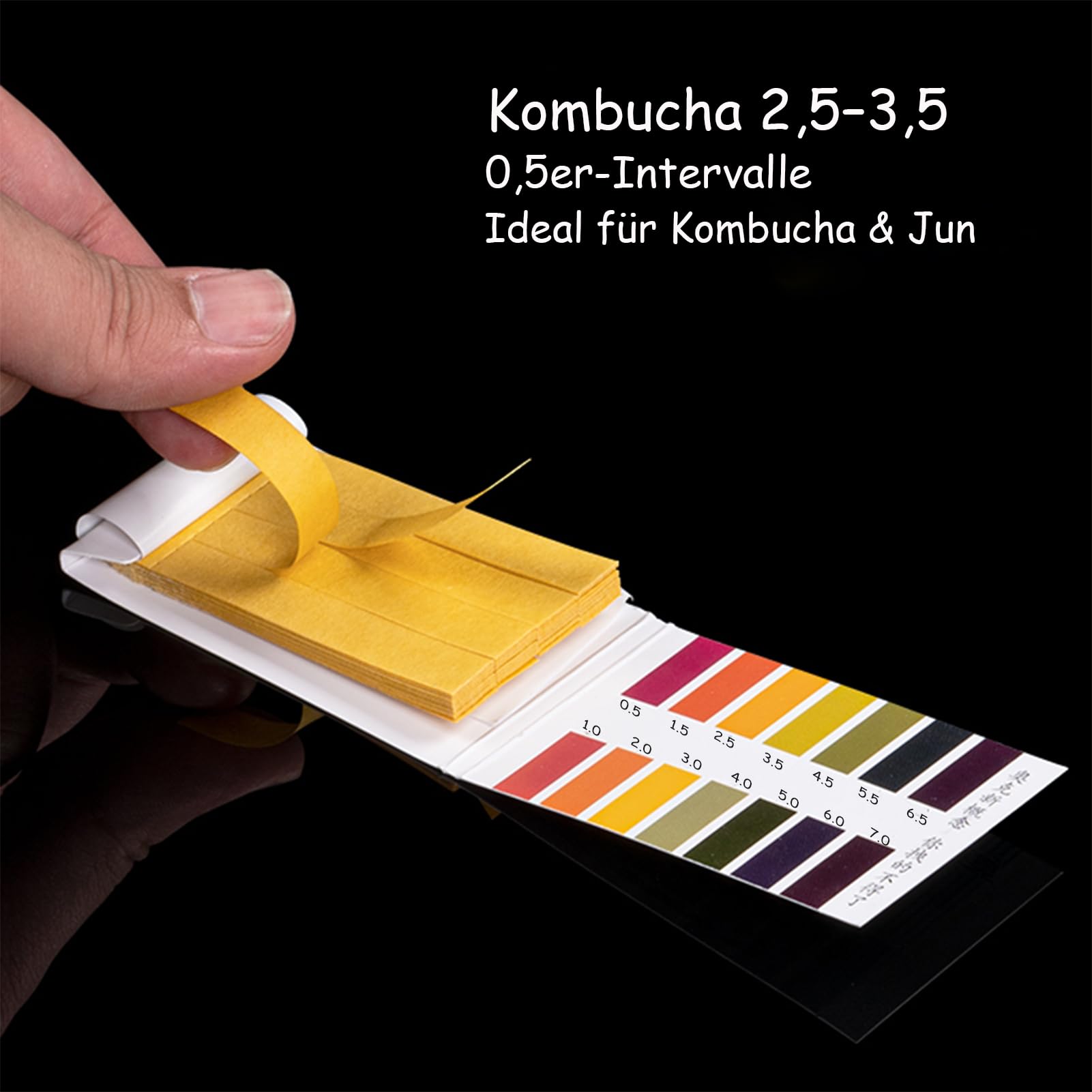 Kit Avviamento Kombucha e Jun con Barattolo di Vetro da 5,5L, Rubinetto in Acciaio Inox, Accessori per Fermentazione Continua, Strisce pH, Termometro, Copertura, Imbuto e Filtri