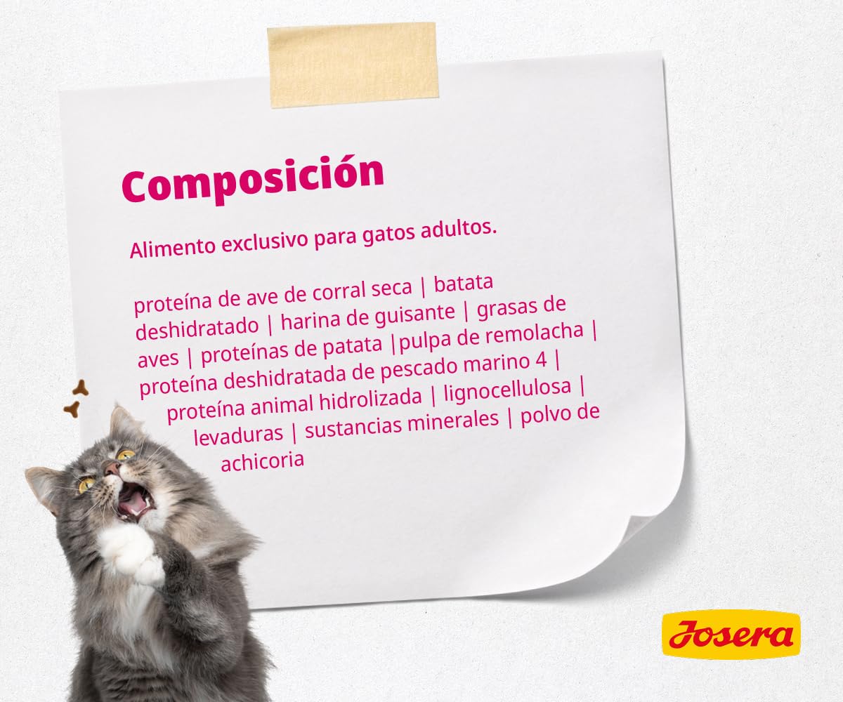 JOSERA Indoor Cat (1 x 10 kg) | Adulto | Alimento seco Premium para Gatos Adultos esterilizados | Receta sin Cereales | Contenido moderado de Grasa para el Control del Peso | con Ave | Pack 1