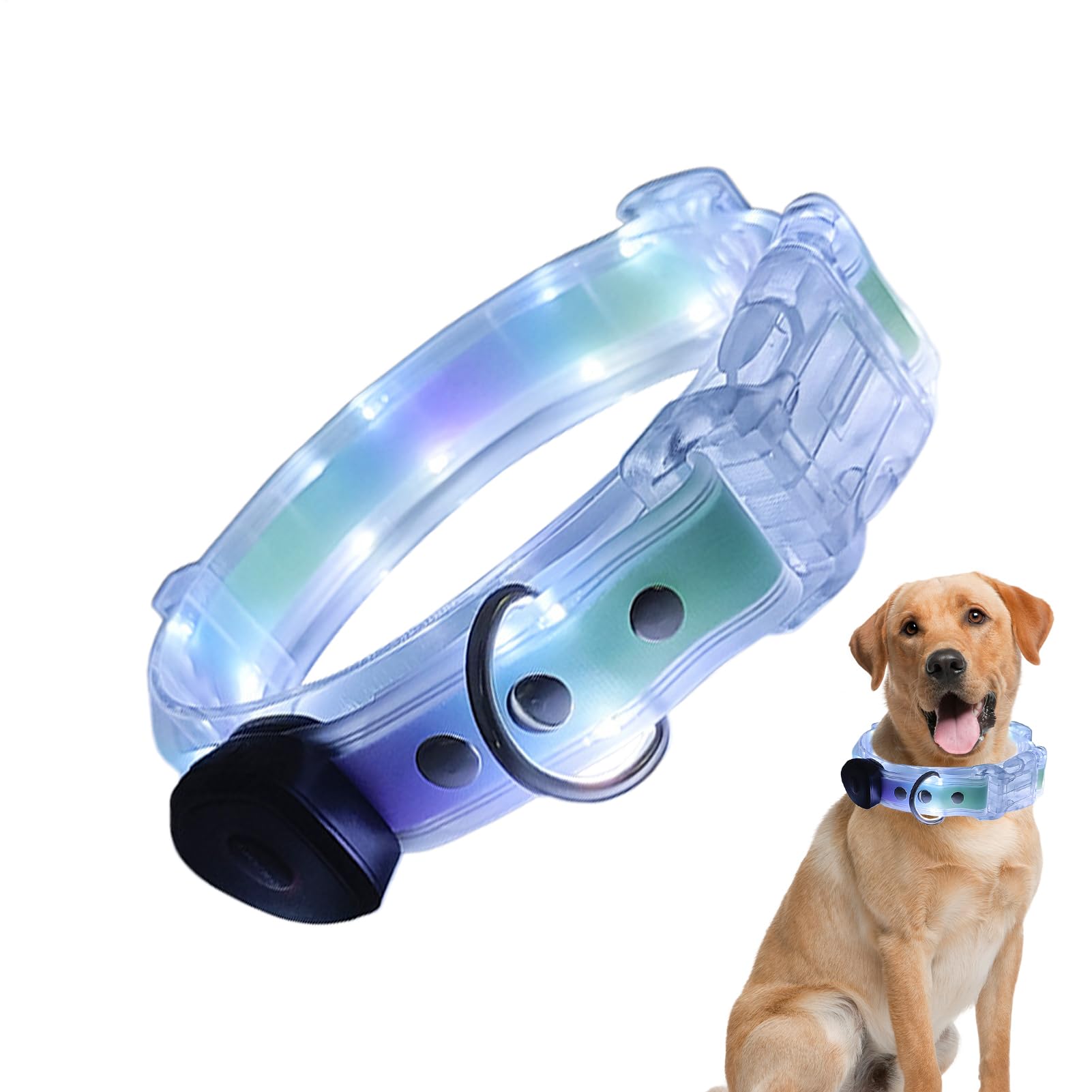 Collier de sécurité pour chien idéal pour la promenade de nuit