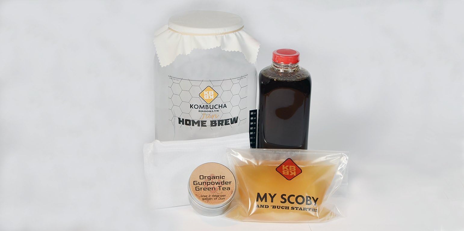JUN Honey Kombucha Kit