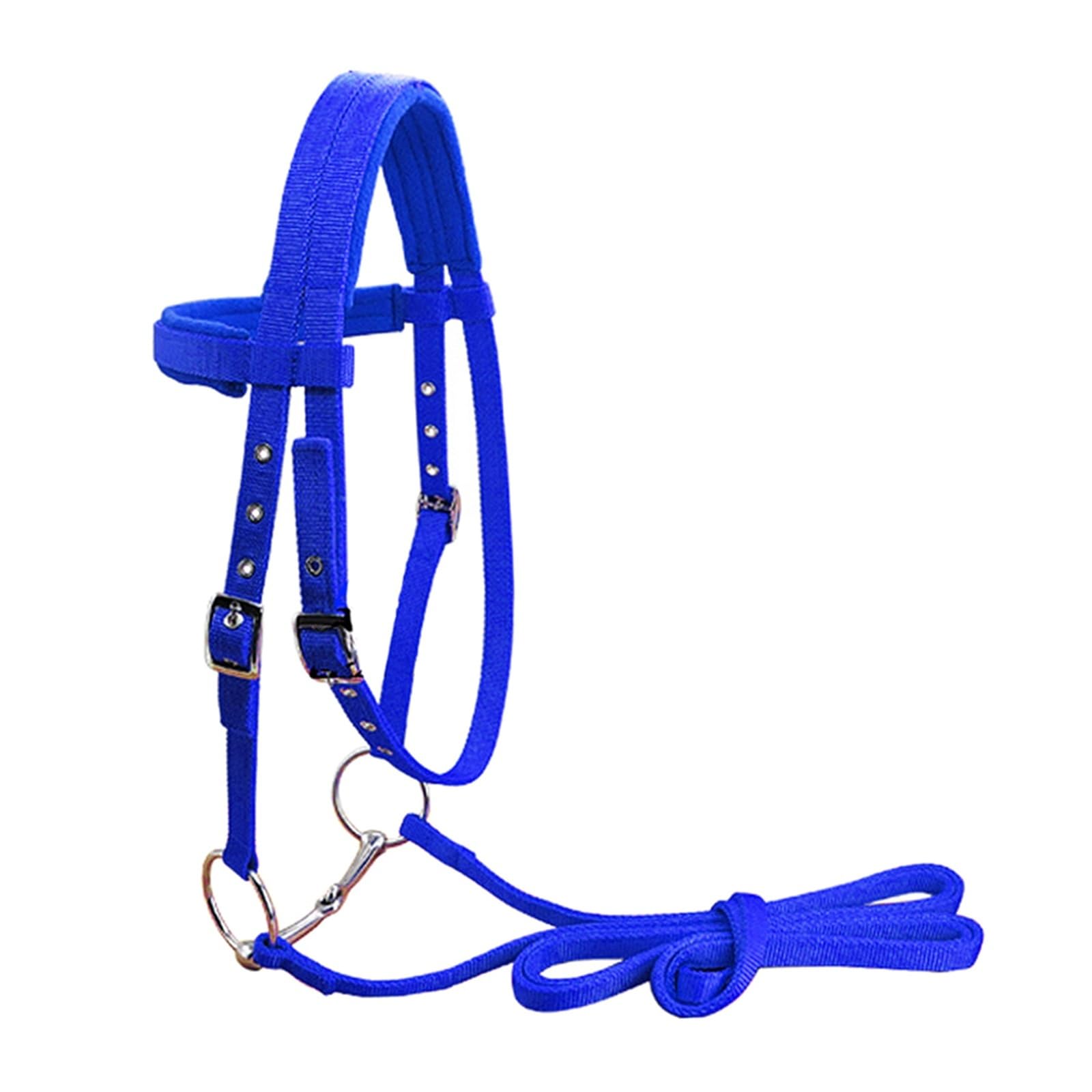 Halfter Für Pferde Pferdezügel-Kopfstück, verdicktes Halfter, Reitausrüstung, abnehmbare Trense(Blue S)