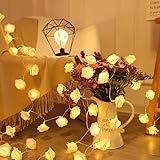 Everlasting Splashes LED Rose Flower Fairy String Lights Battery Operated Warm Flashing Light Romantic Proposal Wedding Party Birthday Christmas Thanksgiving DIY Indoor Outdoor Decorations(Soft White)