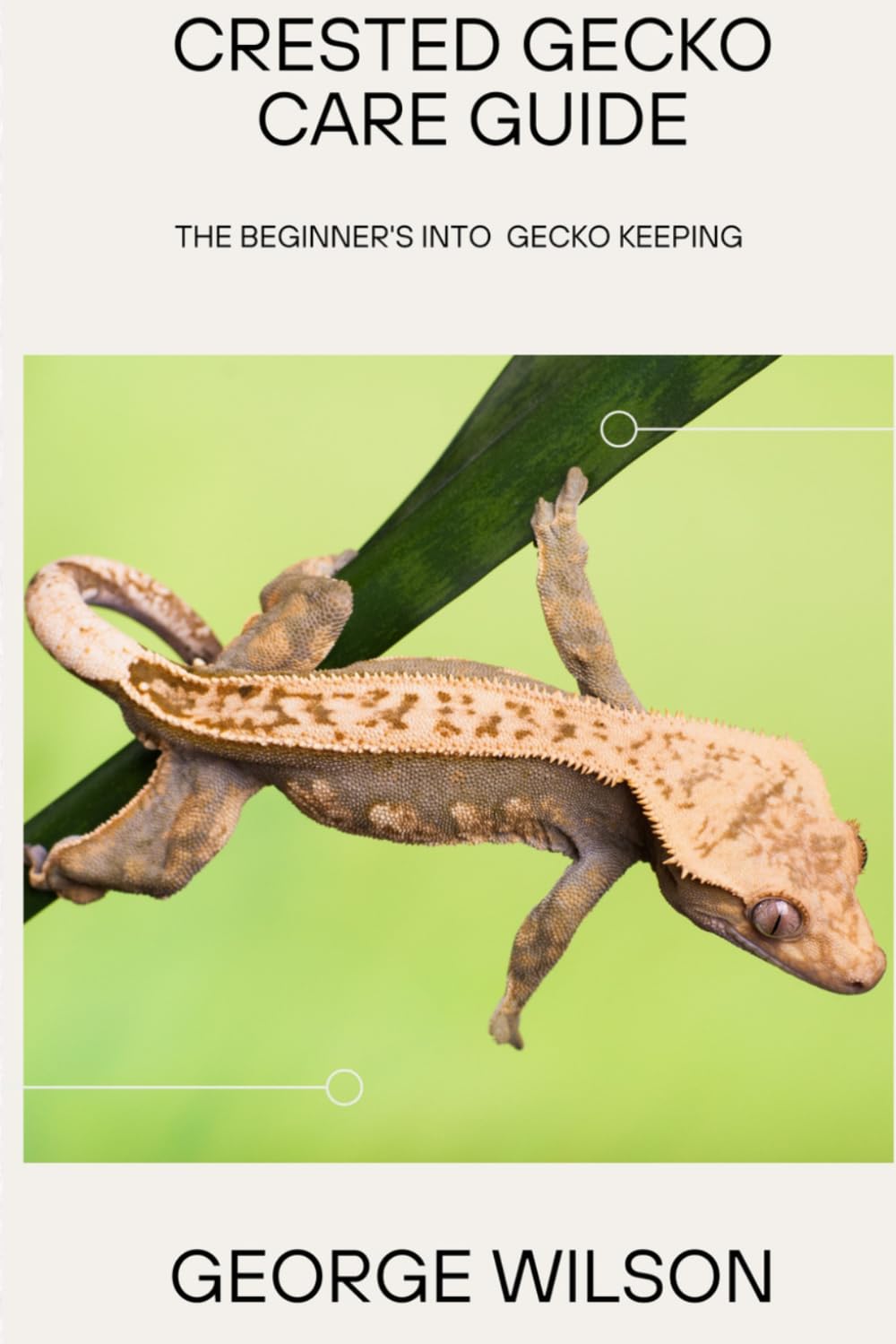 CRESTED GECKO CARE GUIDE: The Beginner’s Journey into Gecko Keeping