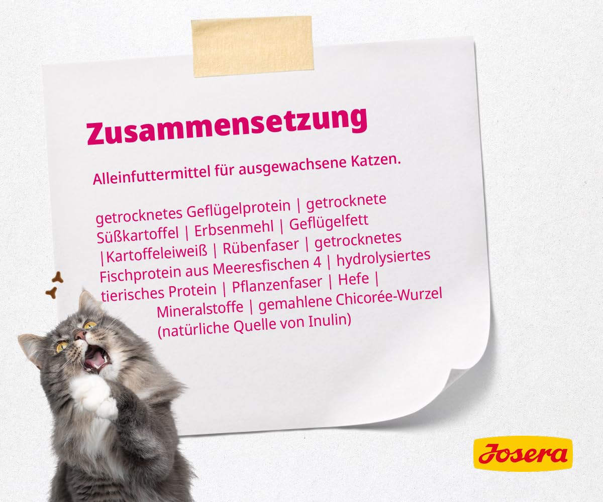 JOSERA Indoor Cat (1 x 10 kg) | Adult | Premium Trockenfutter für ausgewachsene sterilisierte Katzen | getreidefreie Rezeptur | moderater Fettgehalt zur Gewichtkontrolle| mit Geflügel | 1er Pack