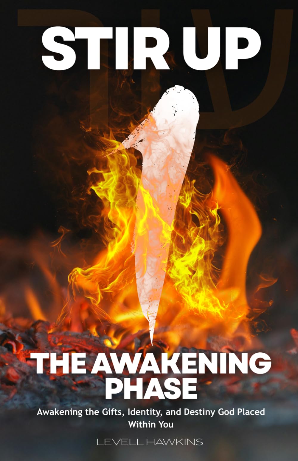 STIR UP: The Awakening Phase: Awakening What God Has Planted Inside You (The Destiny Formation Journey)