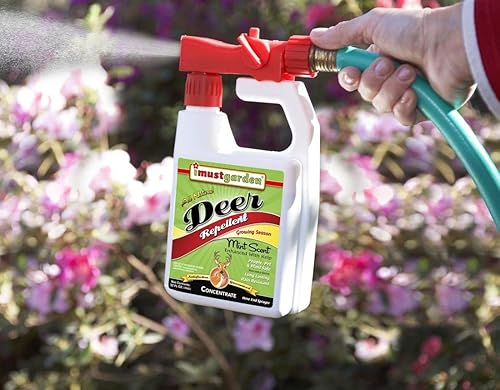 Miniatura 4 de I Must Garden Concentrado de manguera repelente de ciervos: Spray de ciervo con aroma a menta para jardines, plantas y árboles - Pulverizador de