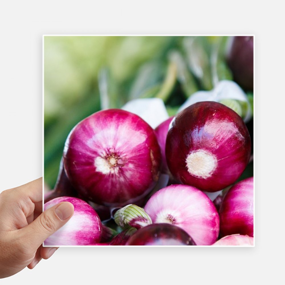 Sticker oignon 20cm de qualité supérieure photo nette pour mur et pc portable