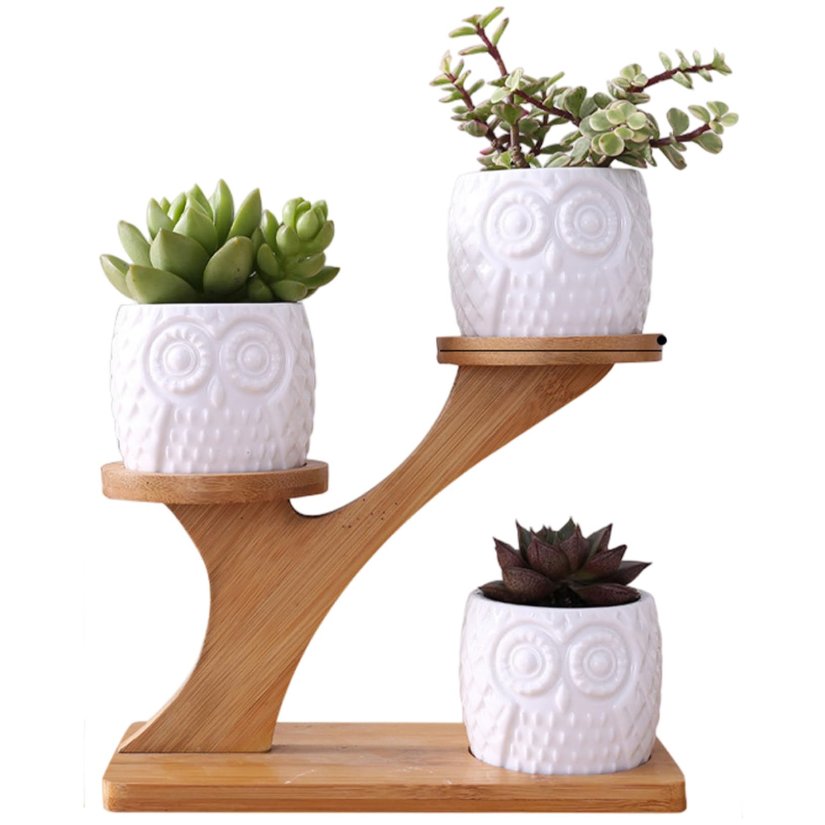 Support de plante de bureau anti-taches pour petits pots fleurs de table