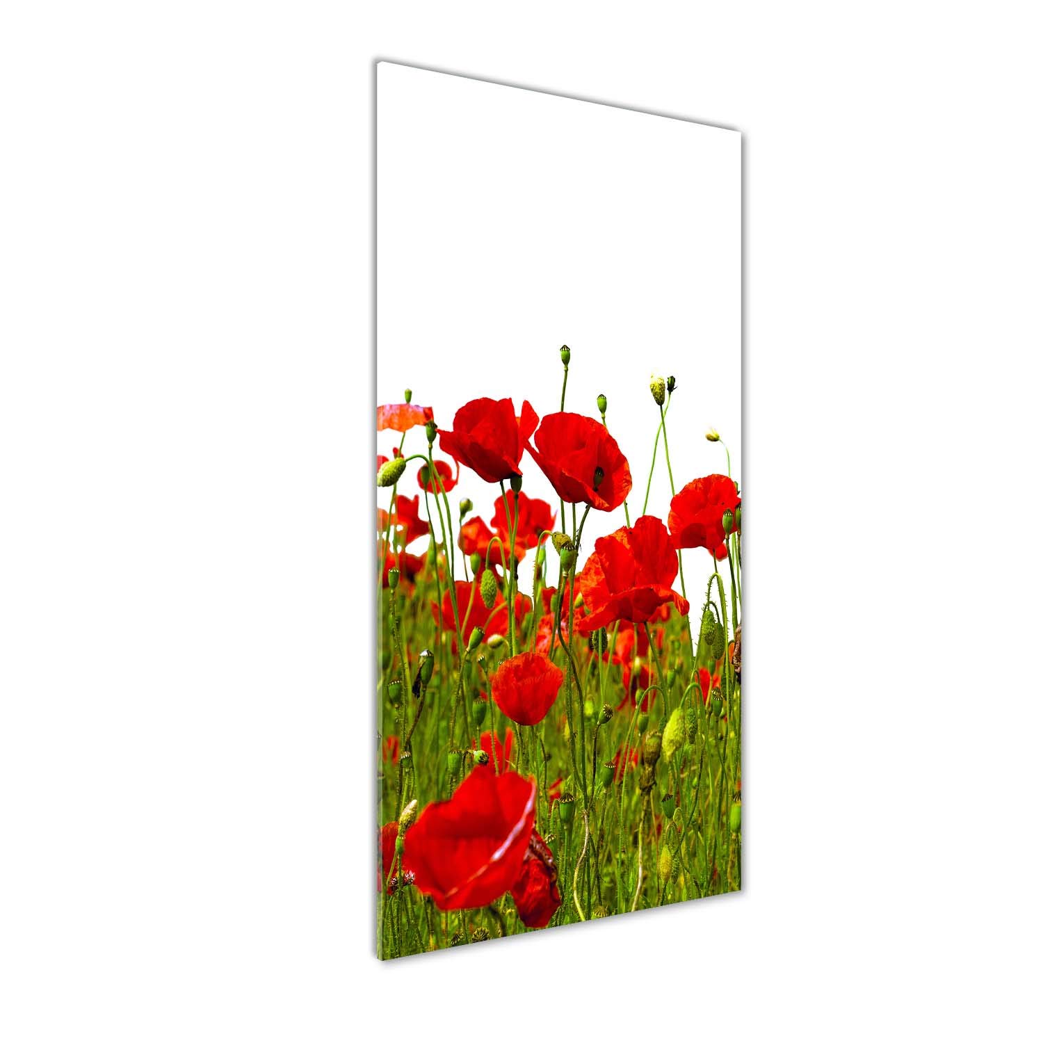 Tableau champ de coquelicots 50x125cm en verre trempé pour décoration murale