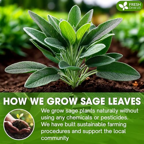 Image of FreshDrinkUS, Sage Leaf Powder 4oz - Premium Culinary Herb, Pure Ground Sage Leaves for Cooking, Baking & Herbal Infusions - Resealable Pouch