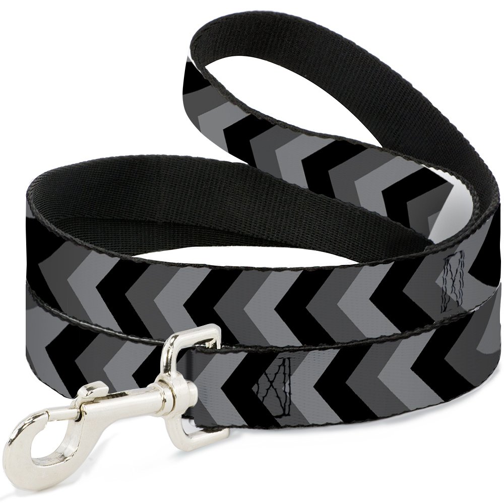 Laisse pour animal domestique Buckle Down à boucle solide avec sangle large