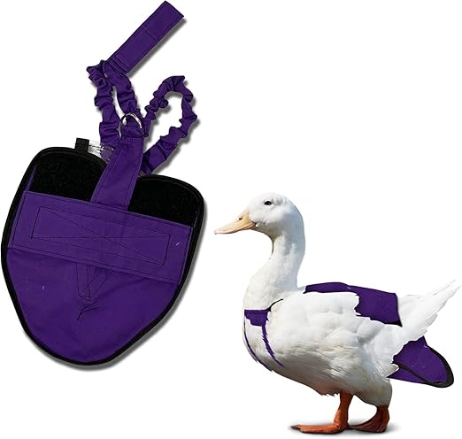 Hen Holster Wrap-Around Duck Diaper with Removable Liner and Adjustable Tab - Durable, Secure Fit, Easy-to-Wear - US-Made Runner Duck Diapers - Essential Duck Supplies for Real Ducks - Purple
