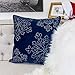 Homey COZY Embroidery Blue Velvet Throw Pillow Cover, Merry Christmas Series Snowflake Luxury Soft Fuzzy Cozy Warm Slik Gift Square Couch Cushion Pillow Case 20 x 20 Inch, Cover Only