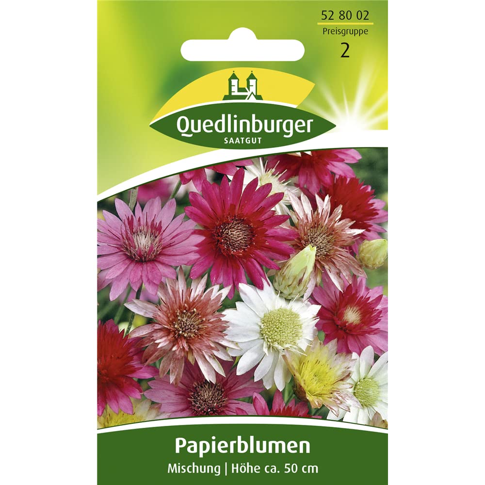 Papierblumen, Xeranthemum annuum, ca. 60 Samen Garten